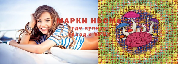 шишки Алзамай