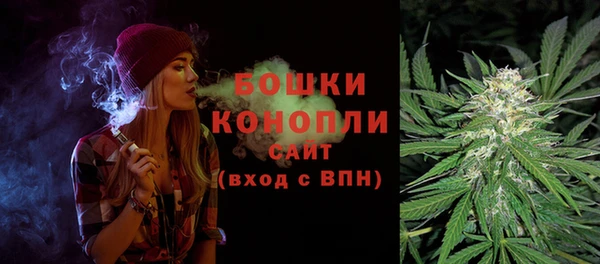 шишки Алзамай
