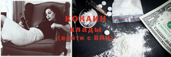 шишки Алзамай