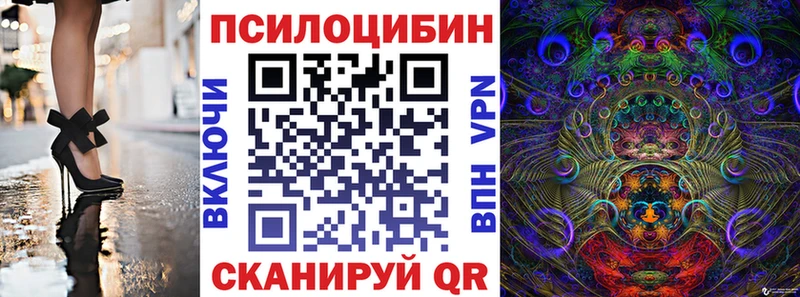 Купить где  Георгиевск  Галлюциногенные грибы MAGIC MUSHROOMS 